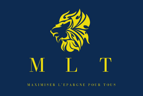 MLT-CONSEIL-investissement-patrimoine