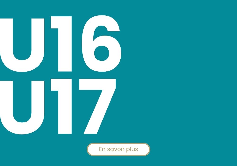 Équipes - Site internet